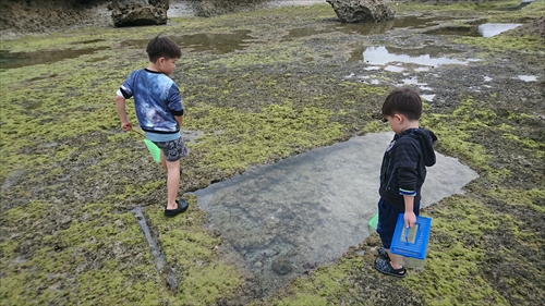 23日・年に一度のやちむん市！